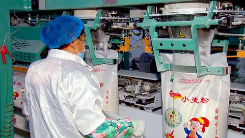 泰州泰興農產品加工園區 培大育強食品企業，聚力打造‘鮮食之都’與特色酒類產業新高地